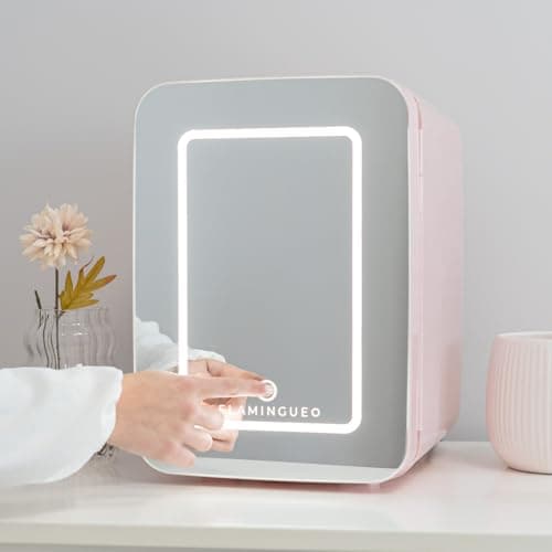 Flamingueo Mini Frigo 10L - Petit Frigo avec Miroir et LED, 12V/220V, Frigo de Chambre Fonction Chaud et Froid