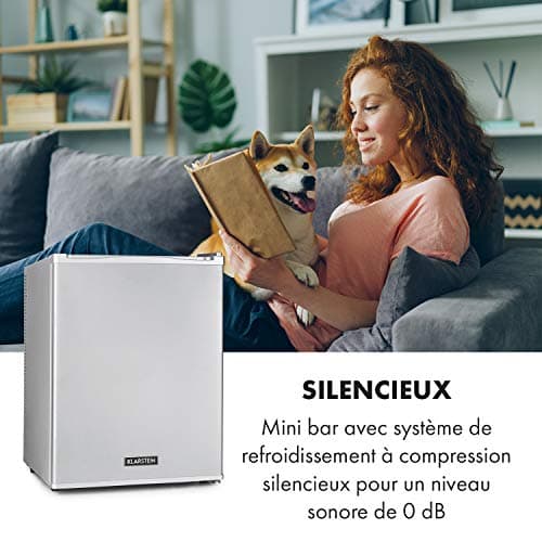 KLARSTEIN Petit Frigo de Chambre Silencieux 5-15°C pour Cosmétique et Boissons, Étagères Réglables, Camping